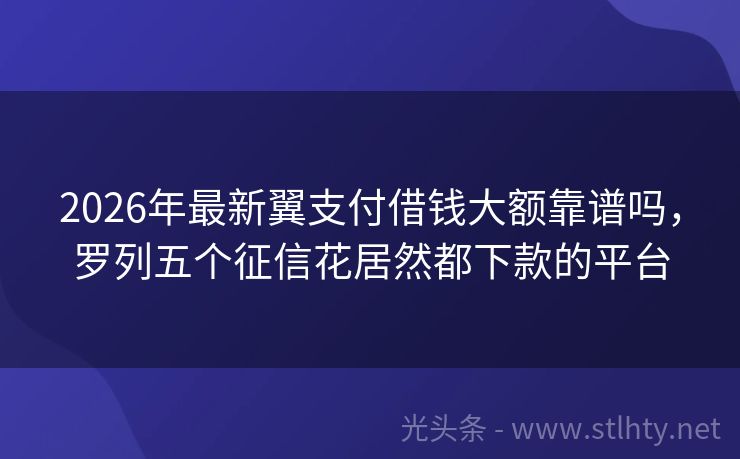 2026年最新翼支付借钱大额靠谱吗，罗列五个征信花居然都下款的平台