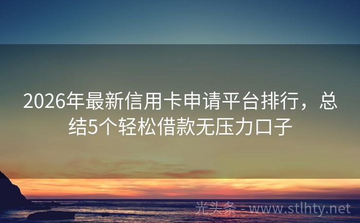 2026年最新信用卡申请平台排行，总结5个轻松借款无压力口子