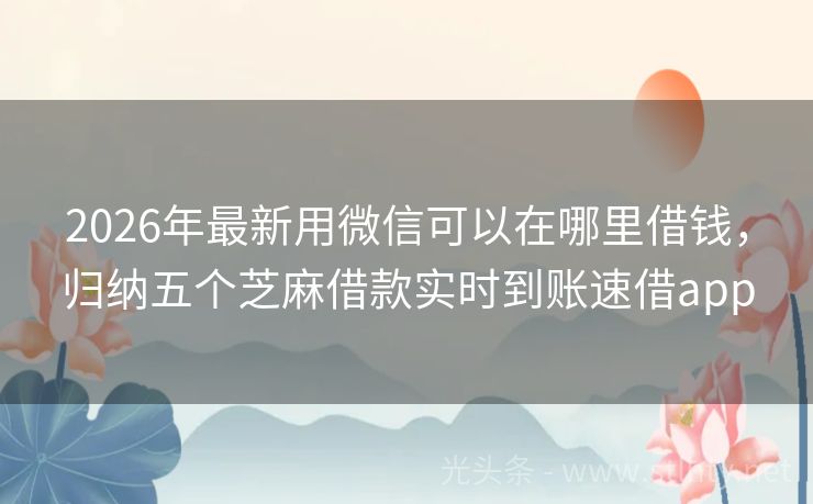 2026年最新用微信可以在哪里借钱，归纳五个芝麻借款实时到账速借app
