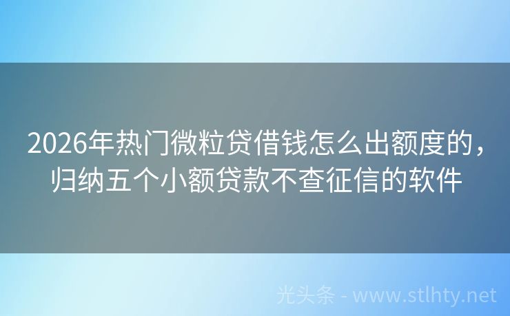 2026年热门微粒贷借钱怎么出额度的，归纳五个小额贷款不查征信的软件