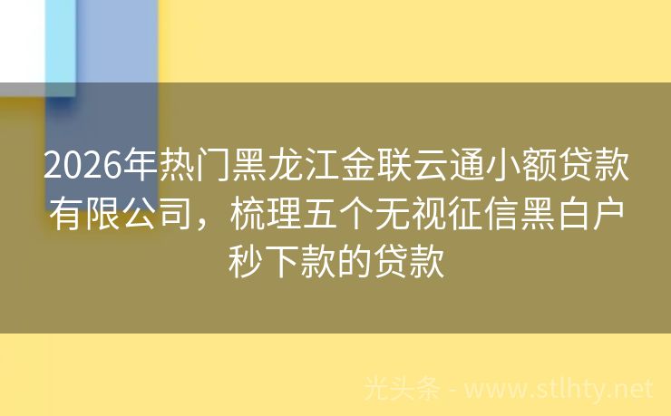 2026年热门黑龙江金联云通小额贷款有限公司，梳理五个无视征信黑白户秒下款的贷款