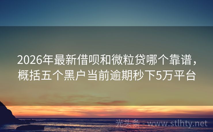 2026年最新借呗和微粒贷哪个靠谱，概括五个黑户当前逾期秒下5万平台