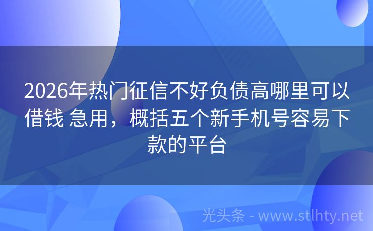 2026年热门征信不好负债高哪里可以借钱 急用，概括五个新手机号容易下款的平台