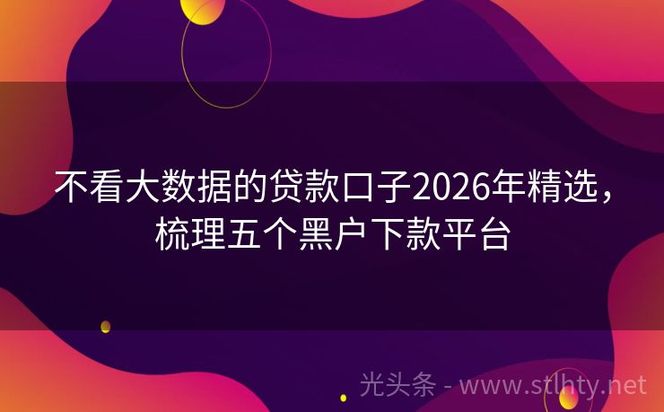 不看大数据的贷款口子2026年精选，梳理五个黑户下款平台