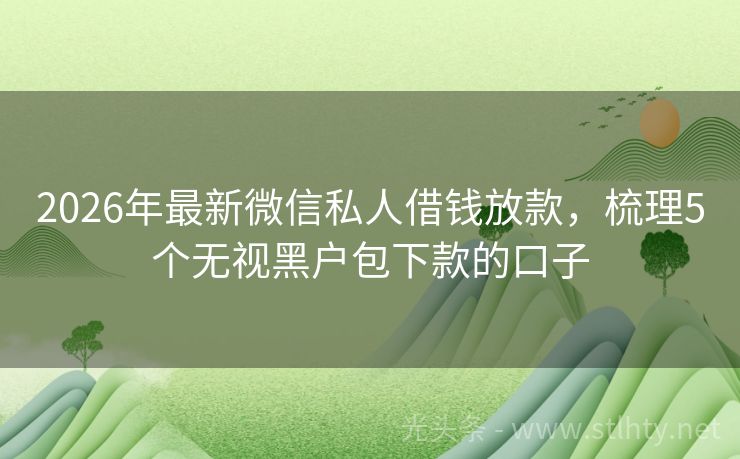 2026年最新微信私人借钱放款，梳理5个无视黑户包下款的口子