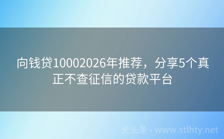 向钱贷10002026年推荐，分享5个真正不查征信的贷款平台