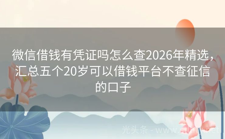微信借钱有凭证吗怎么查2026年精选，汇总五个20岁可以借钱平台不查征信的口子