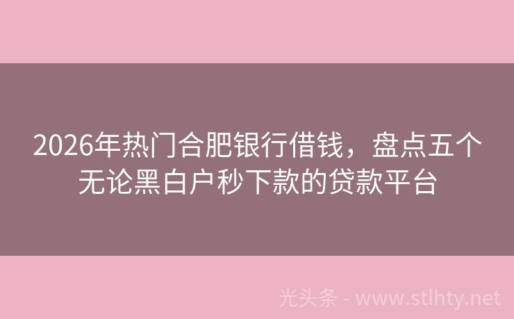 2026年热门合肥银行借钱，盘点五个无论黑白户秒下款的贷款平台