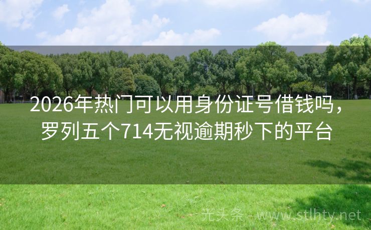 2026年热门可以用身份证号借钱吗，罗列五个714无视逾期秒下的平台