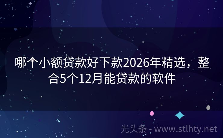哪个小额贷款好下款2026年精选，整合5个12月能贷款的软件