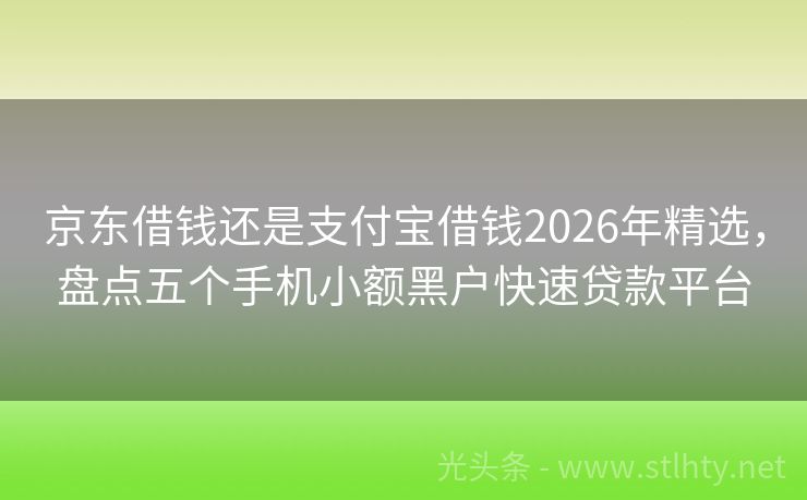 京东借钱还是支付宝借钱2026年精选，盘点五个手机小额黑户快速贷款平台