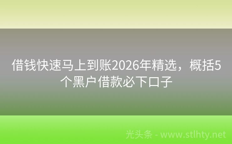 借钱快速马上到账2026年精选，概括5个黑户借款必下口子