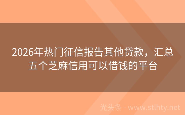 2026年热门征信报告其他贷款，汇总五个芝麻信用可以借钱的平台
