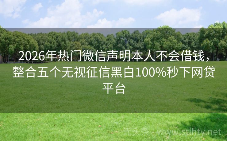 2026年热门微信声明本人不会借钱，整合五个无视征信黑白100%秒下网贷平台