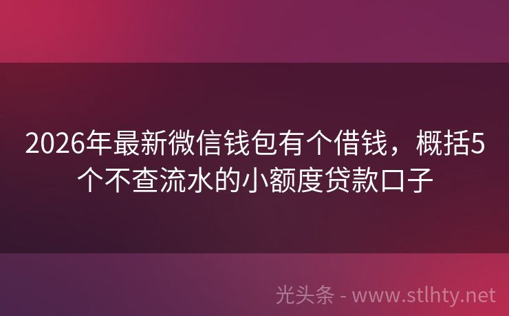 2026年最新微信钱包有个借钱，概括5个不查流水的小额度贷款口子