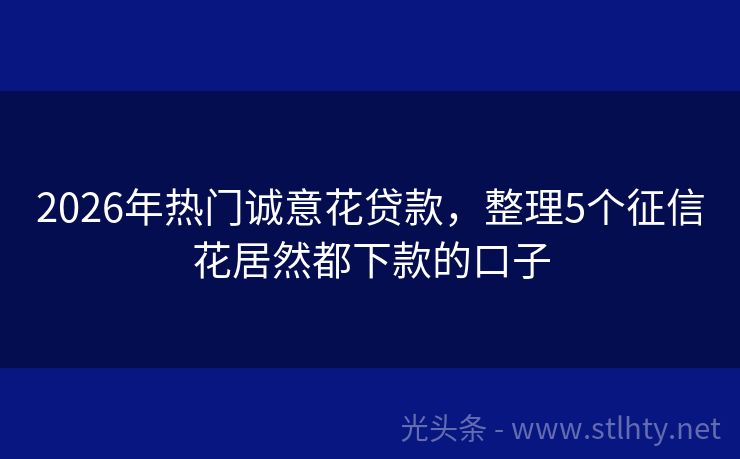 2026年热门诚意花贷款，整理5个征信花居然都下款的口子
