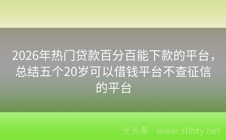 2026年热门贷款百分百能下款的平台，总结五个20岁可以借钱平台不查征信的平台