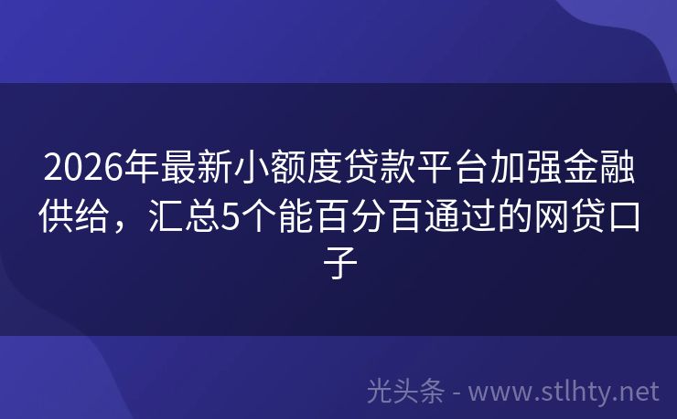 2026年最新小额度贷款平台加强金融供给，汇总5个能百分百通过的网贷口子