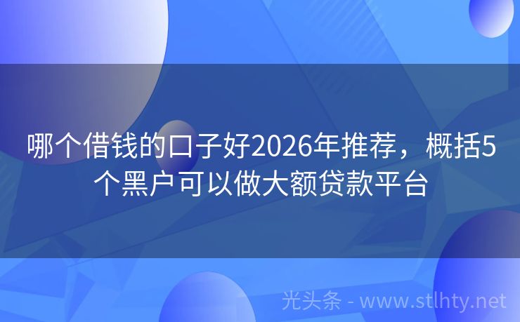 哪个借钱的口子好2026年推荐，概括5个黑户可以做大额贷款平台