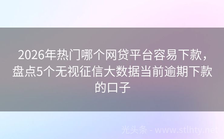 2026年热门哪个网贷平台容易下款，盘点5个无视征信大数据当前逾期下款的口子