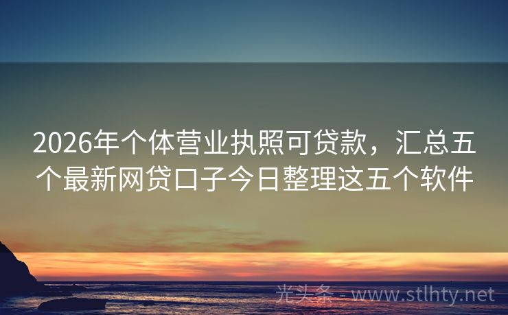 2026年个体营业执照可贷款，汇总五个最新网贷口子今日整理这五个软件