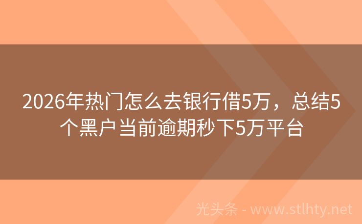 2026年热门怎么去银行借5万，总结5个黑户当前逾期秒下5万平台