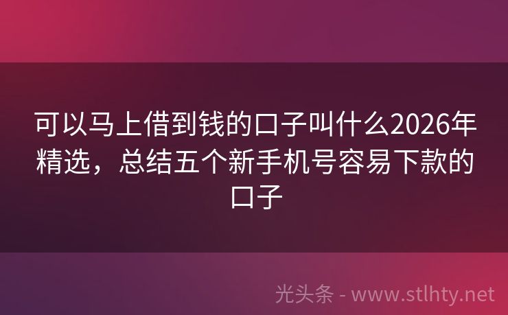 可以马上借到钱的口子叫什么2026年精选，总结五个新手机号容易下款的口子