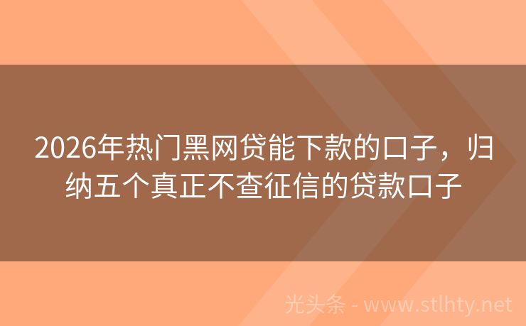 2026年热门黑网贷能下款的口子，归纳五个真正不查征信的贷款口子