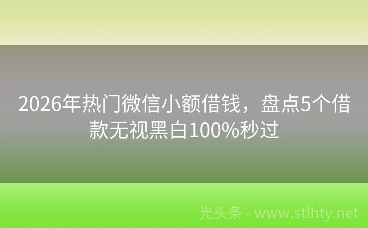 2026年热门微信小额借钱，盘点5个借款无视黑白100%秒过