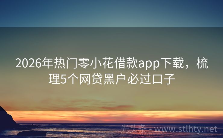 2026年热门零小花借款app下载，梳理5个网贷黑户必过口子