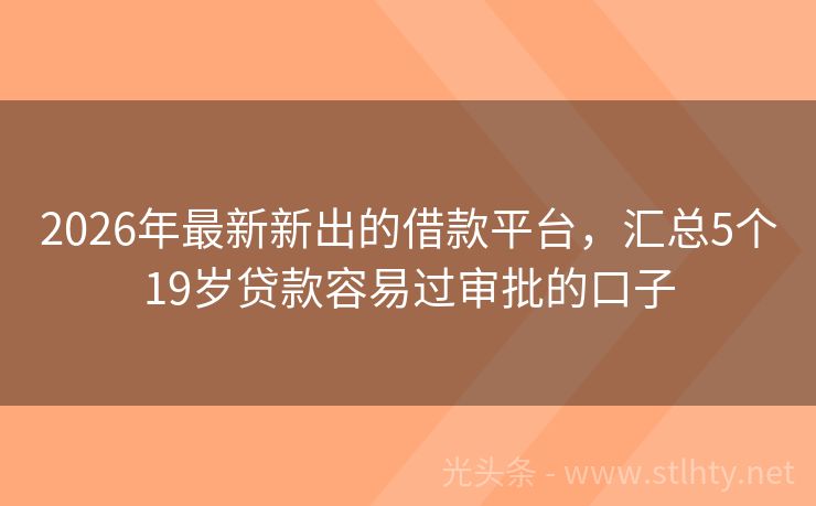 2026年最新新出的借款平台，汇总5个19岁贷款容易过审批的口子