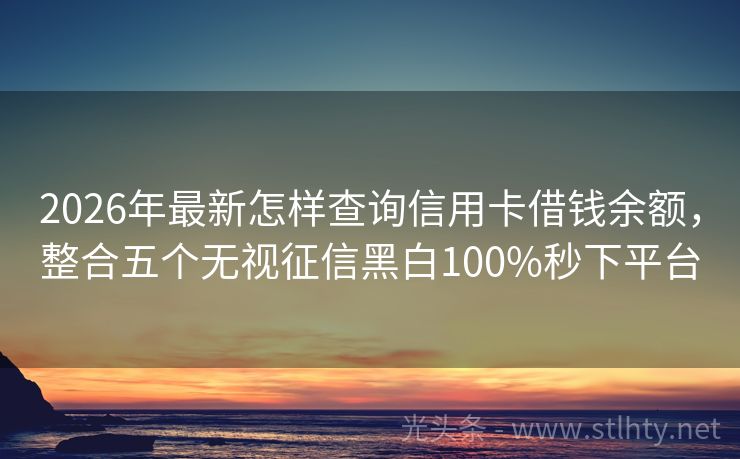 2026年最新怎样查询信用卡借钱余额，整合五个无视征信黑白100%秒下平台