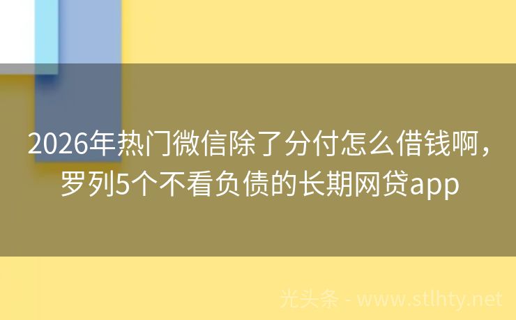 2026年热门微信除了分付怎么借钱啊，罗列5个不看负债的长期网贷app