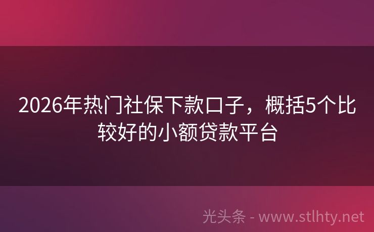 2026年热门社保下款口子，概括5个比较好的小额贷款平台