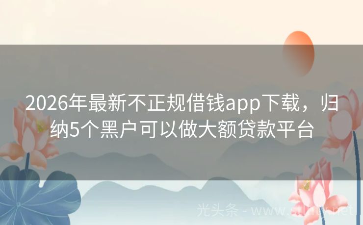 2026年最新不正规借钱app下载，归纳5个黑户可以做大额贷款平台
