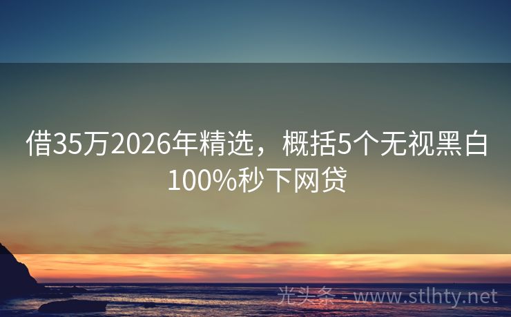 借35万2026年精选，概括5个无视黑白100%秒下网贷