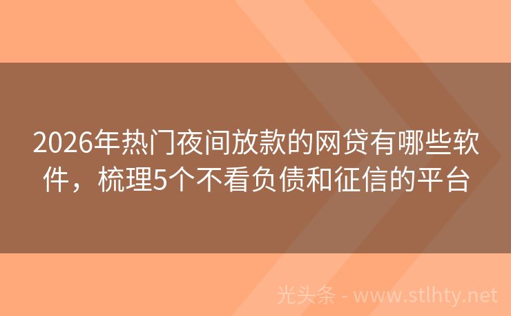 2026年热门夜间放款的网贷有哪些软件，梳理5个不看负债和征信的平台