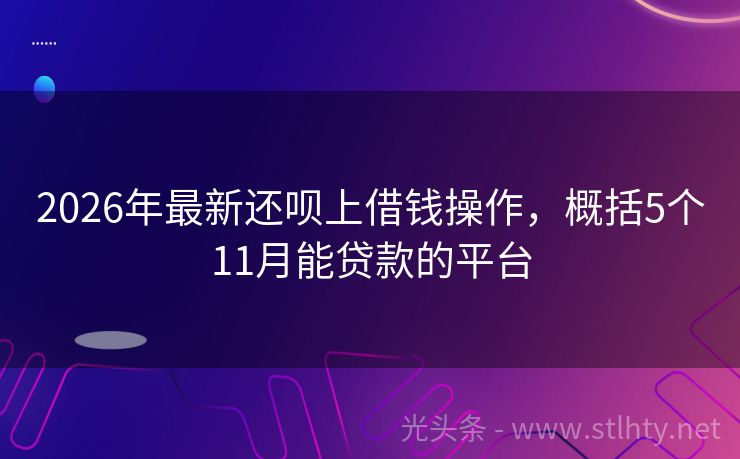2026年最新还呗上借钱操作，概括5个11月能贷款的平台