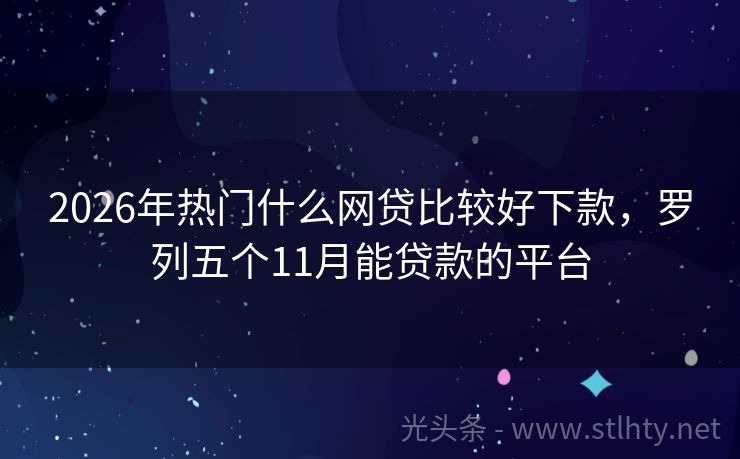 2026年热门什么网贷比较好下款，罗列五个11月能贷款的平台