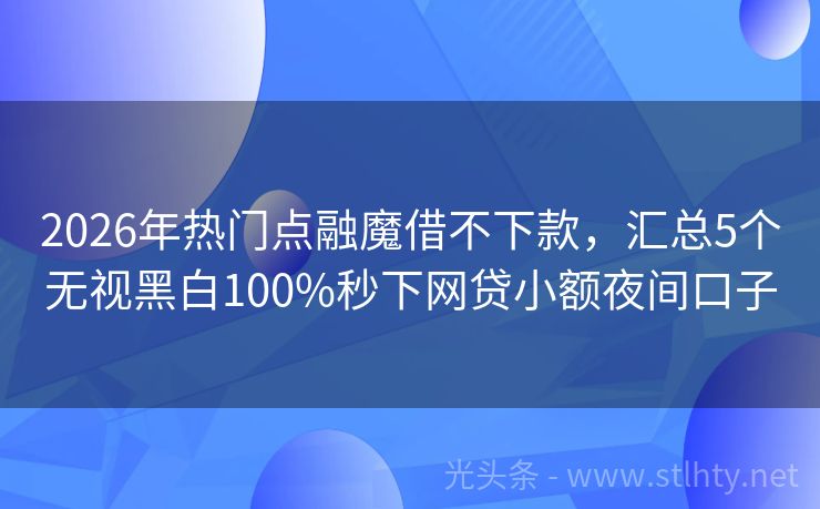 2026年热门点融魔借不下款，汇总5个无视黑白100%秒下网贷小额夜间口子