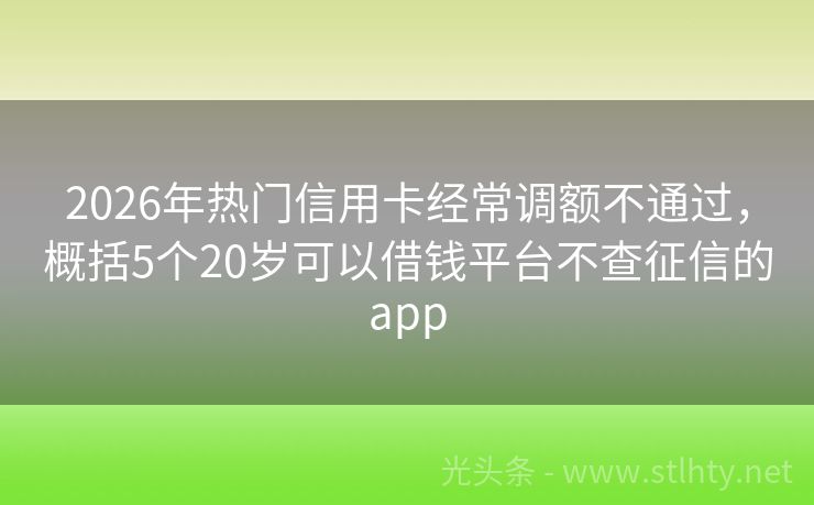 2026年热门信用卡经常调额不通过，概括5个20岁可以借钱平台不查征信的app