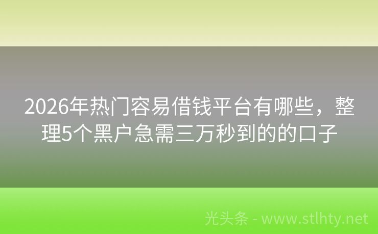 2026年热门容易借钱平台有哪些，整理5个黑户急需三万秒到的的口子
