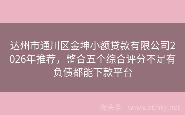 达州市通川区金坤小额贷款有限公司2026年推荐，整合五个综合评分不足有负债都能下款平台