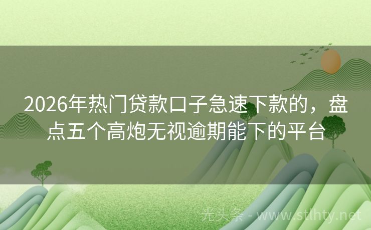 2026年热门贷款口子急速下款的，盘点五个高炮无视逾期能下的平台