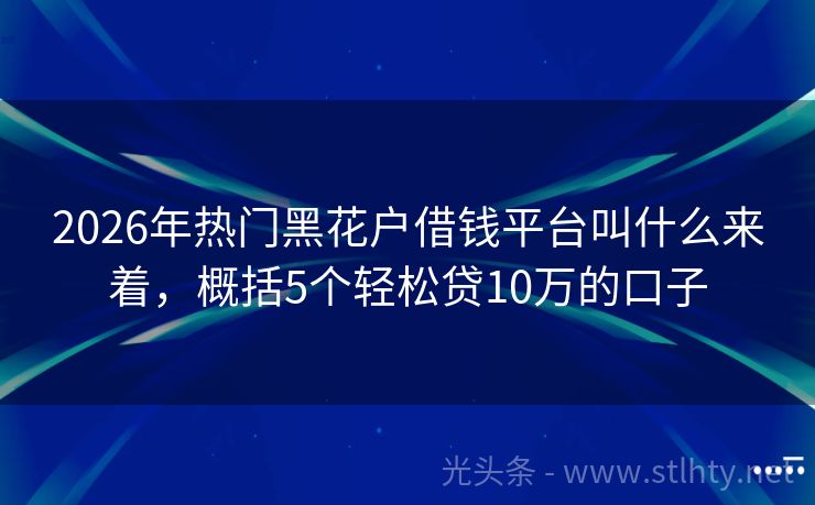 2026年热门黑花户借钱平台叫什么来着，概括5个轻松贷10万的口子