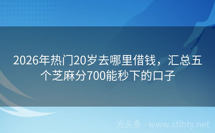 2026年热门20岁去哪里借钱，汇总五个芝麻分700能秒下的口子