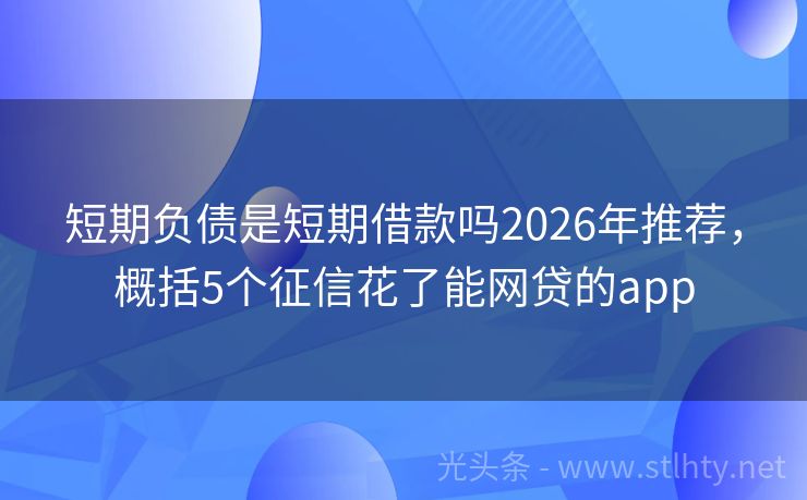 短期负债是短期借款吗2026年推荐，概括5个征信花了能网贷的app