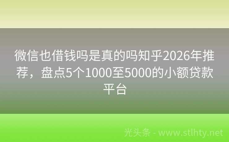 微信也借钱吗是真的吗知乎2026年推荐，盘点5个1000至5000的小额贷款平台
