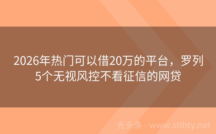 2026年热门可以借20万的平台，罗列5个无视风控不看征信的网贷