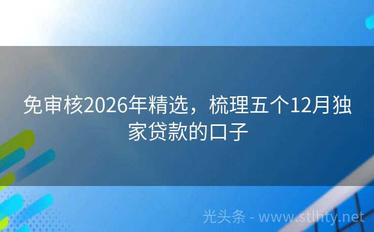 免审核2026年精选，梳理五个12月独家贷款的口子